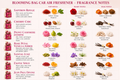 Blooming Bag Car Air Freshener