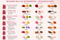 Blooming Bag Car Air Freshener